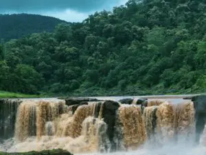 Saputara trip