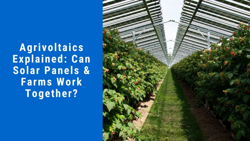 Agrivoltaics Explained Can Solar Panels & Farms Work Together